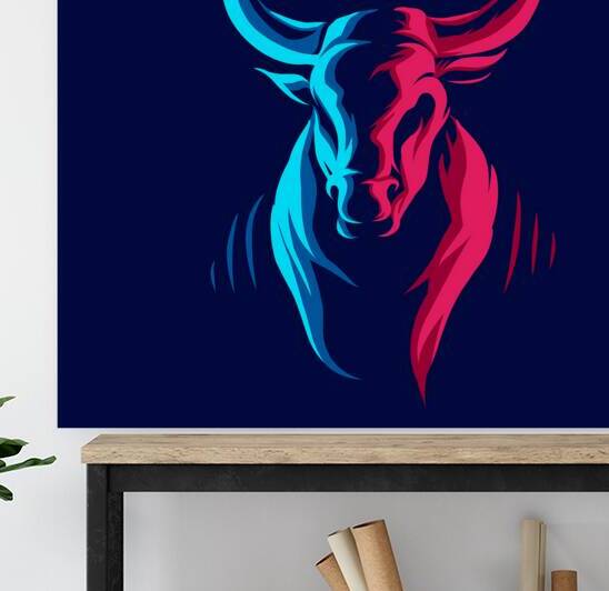 Colorful Ox by Towseef Dar