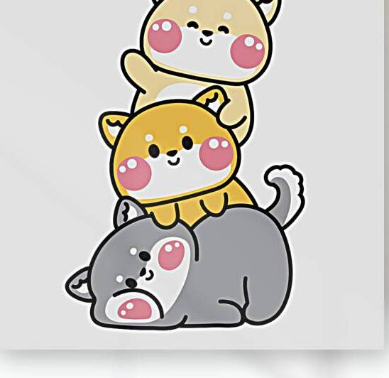 Cute shibainu dog by Towseef Dar