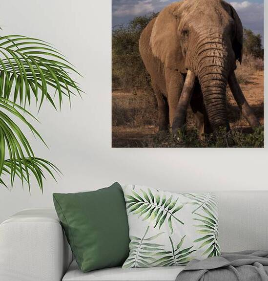 The Patriarchs Path by Joe Ng