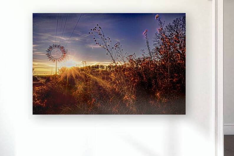 Petals of Iron Glow of Gold by Norma Brandsberg Photography