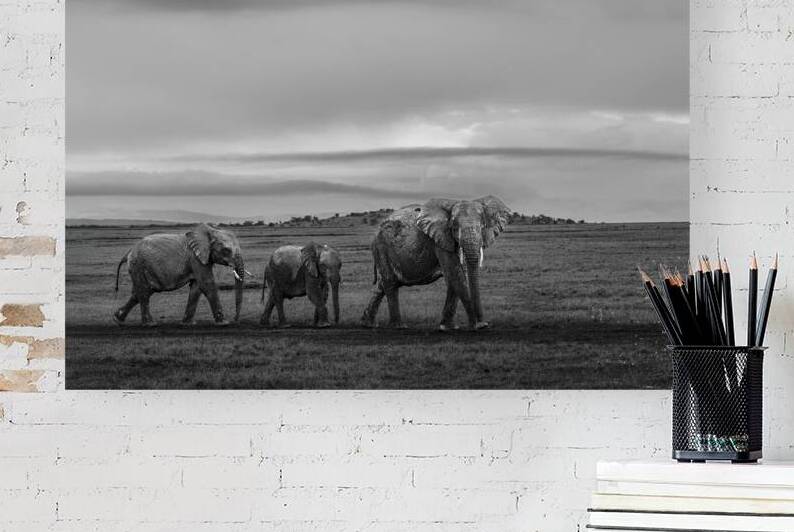 The Ancient Path by Joe Ng