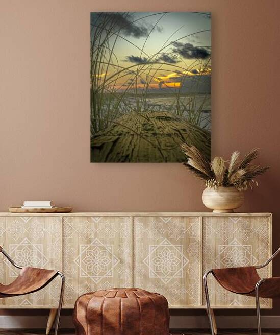 Driftwood Dunes at Sunset by Gregory Allen