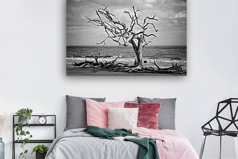 Driftwood Beach Lone Tree in Black and White by Bill Swartwout Photography