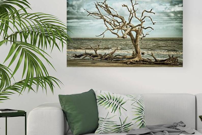 Driftwood Beach Lone Tree Blackgold by Bill Swartwout Photography