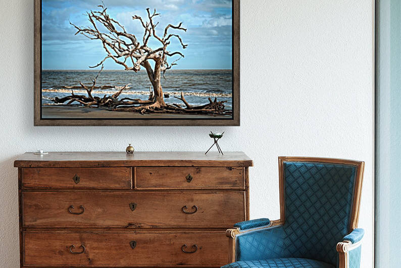 Driftwood Beach Lone Tree by Bill Swartwout Photography