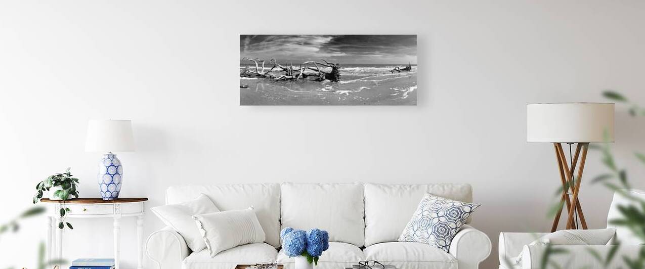Driftwood Beach Panorama 103 Black and White by Bill Swartwout Photography