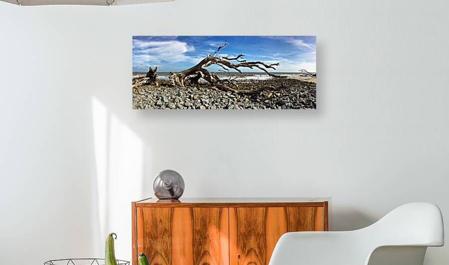 Driftwood Beach Panorama 101 by Bill Swartwout Photography