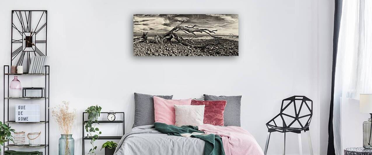 Driftwood Beach Panorama Black and White by Bill Swartwout Photography