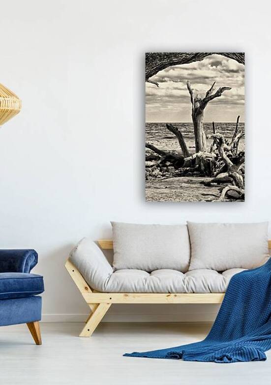 Driftwood Beach Uplifting Black and White by Bill Swartwout Photography