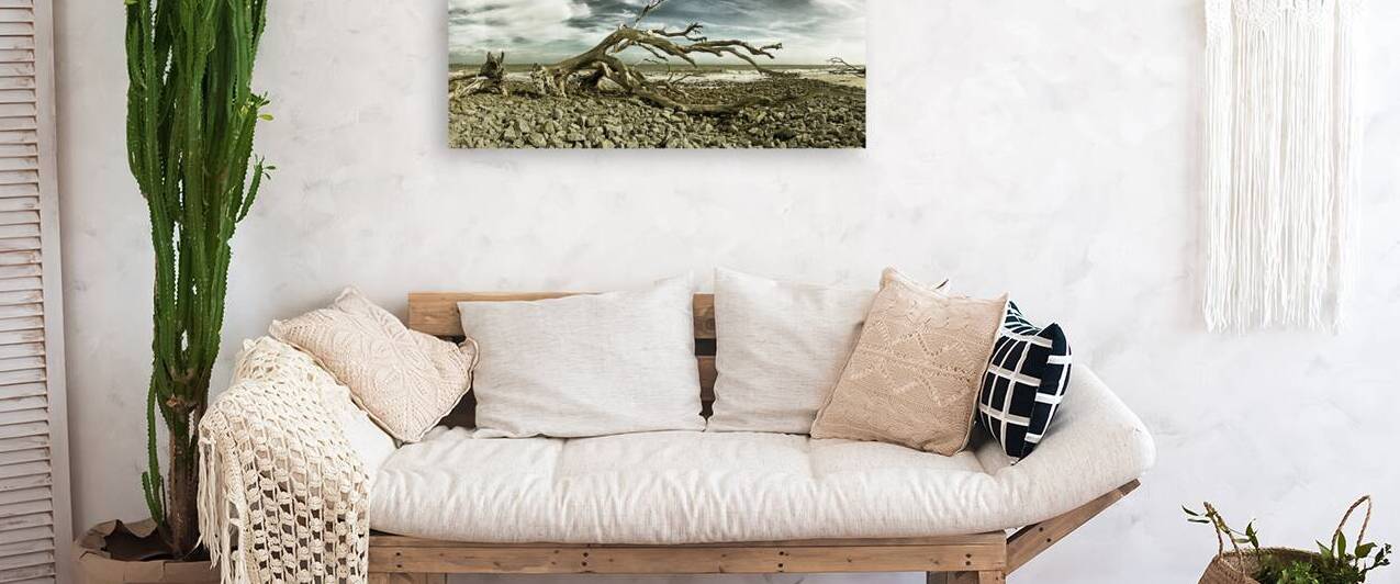 Driftwood Beach Panorama Blackgold by Bill Swartwout Photography