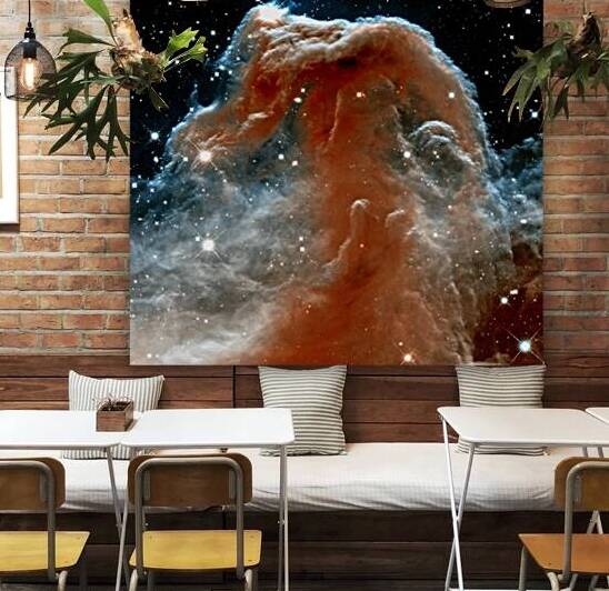 Horsehead Nebula In Space by Bill Swartwout Photography