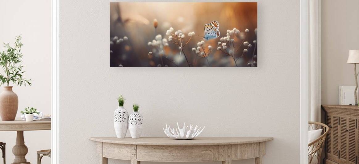 Daisies field with an orange butterfly by Towseef Dar