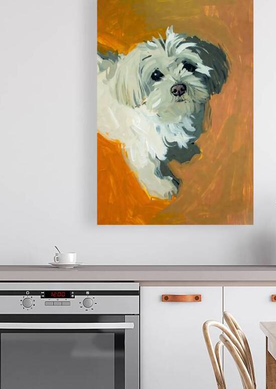 Expressive White Maltese Shih Tzu Dog Portrait by Chris Butler