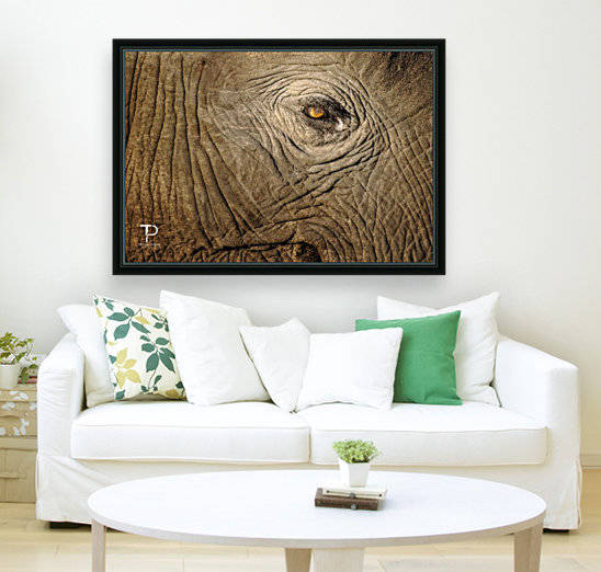 An Elephant Tear by Thierry Prieur Photographie