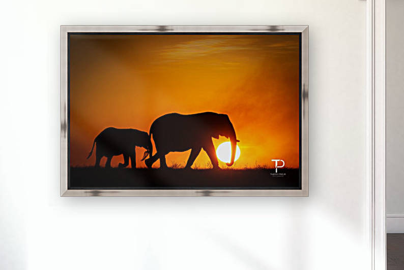 Carrying the Sun by Thierry Prieur Photographie