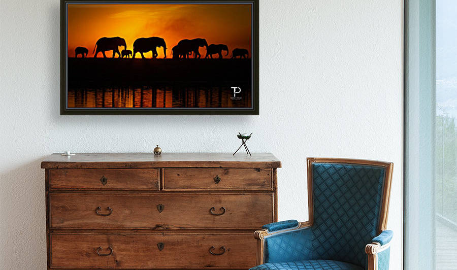 Silhouettes by Thierry Prieur Photographie