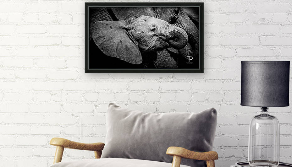 Elephant in Chobe by Thierry Prieur Photographie