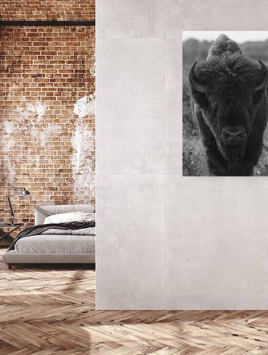 Bison BW 2 by Ilana Vargulich