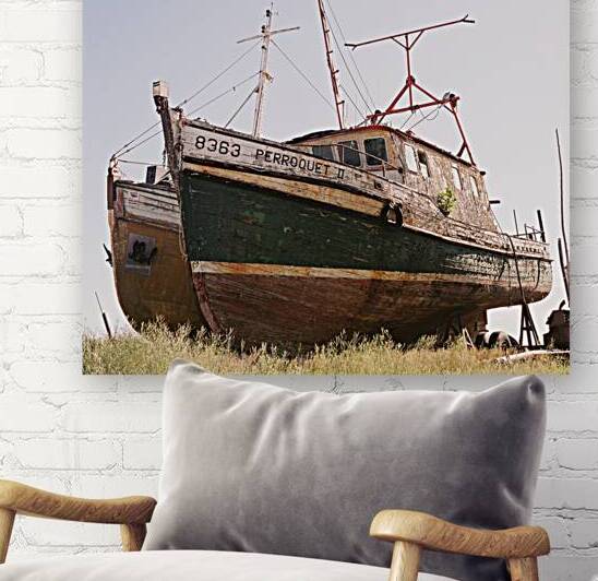 Perroquet II by Creations Cronos