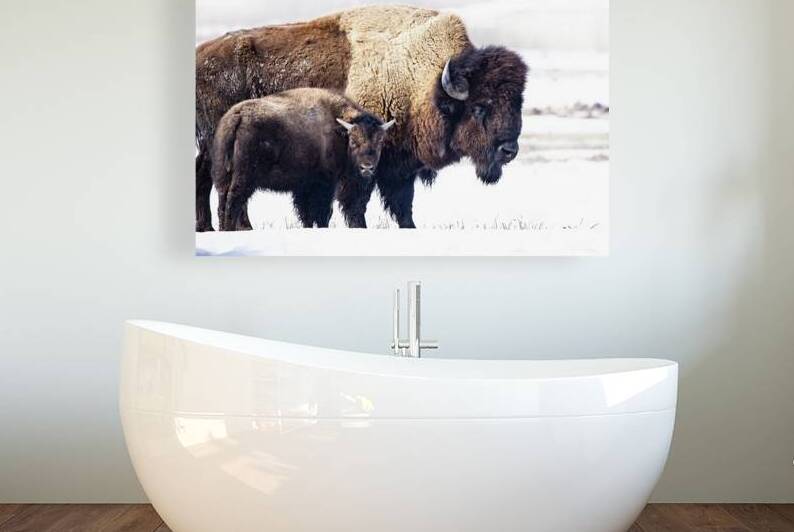 Bison Mom and Cub by Ilana Vargulich