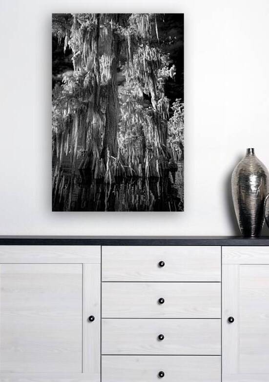 Bayou Infrarouge by Rick Berk