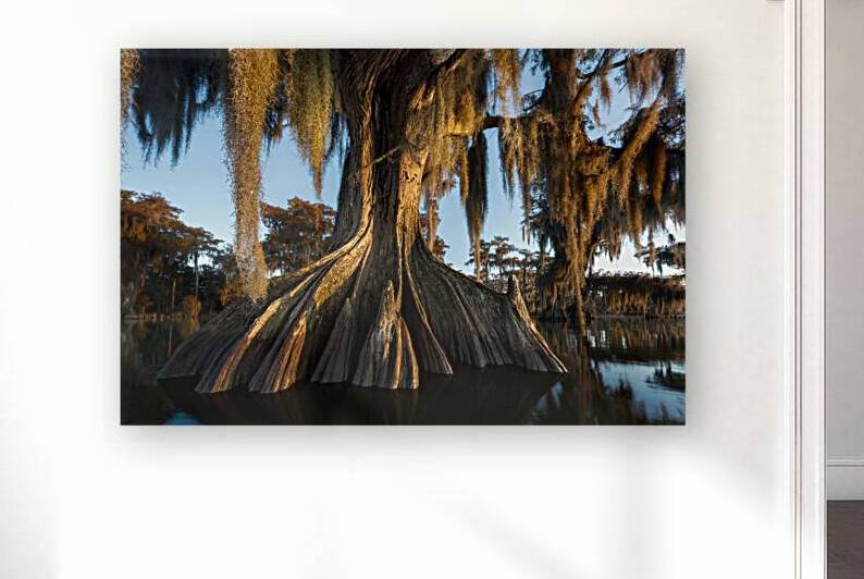 Lumière du Matin by Rick Berk