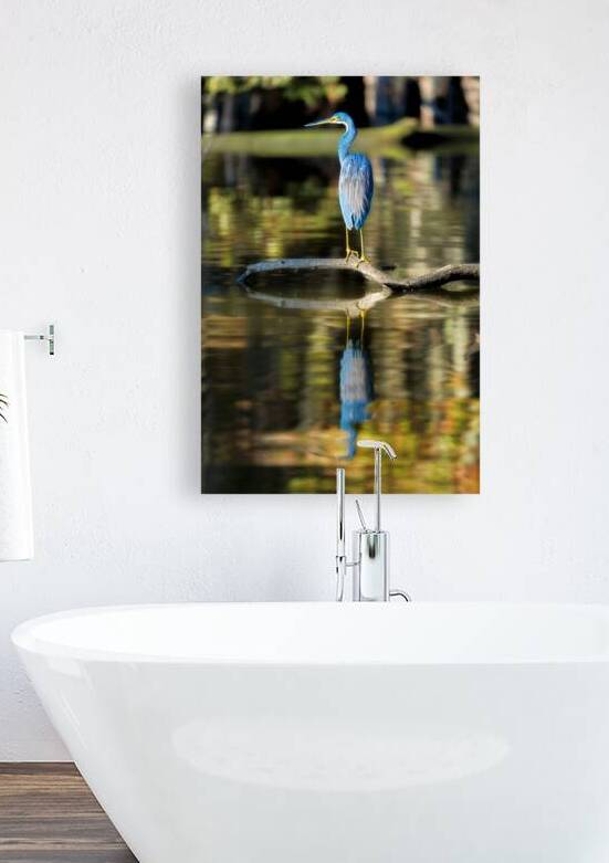 Am I Blue by Rick Berk