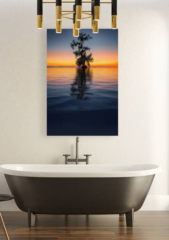 L’Épilogue du Bayou Tranquille by Rick Berk