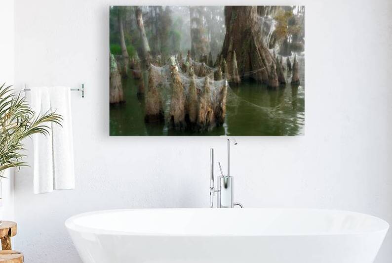 Bayou Lacework by Rick Berk