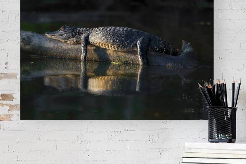 Long Day in the Swamp by Rick Berk