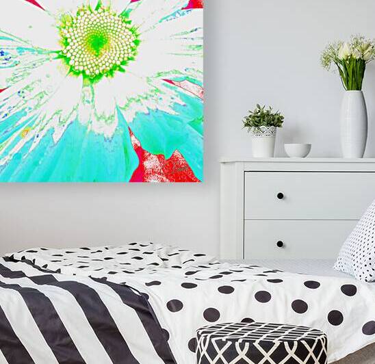 Vibrant Daisy Flower Close Up by Catriona Roberts Nature Photography and Designs