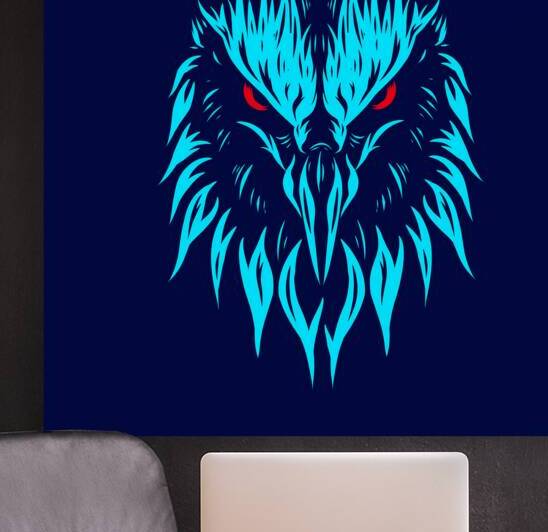 Colourful eagle hawk by Towseef Dar