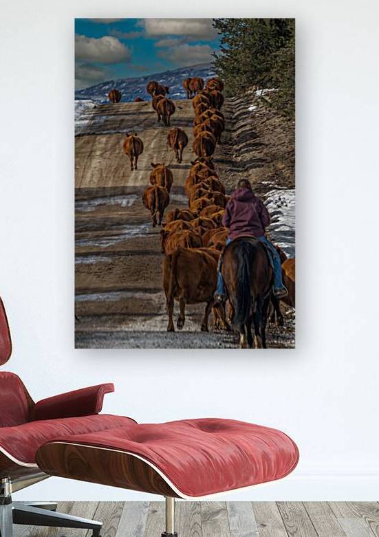 Cow Boss by Susan Humphrey Art