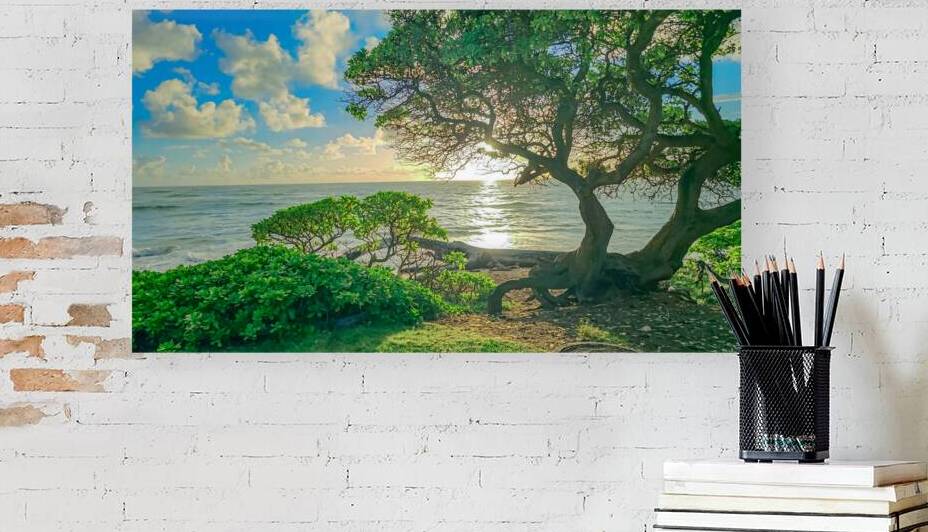 The Solar Lattice Open Edition by Leland Rankin Fine Art