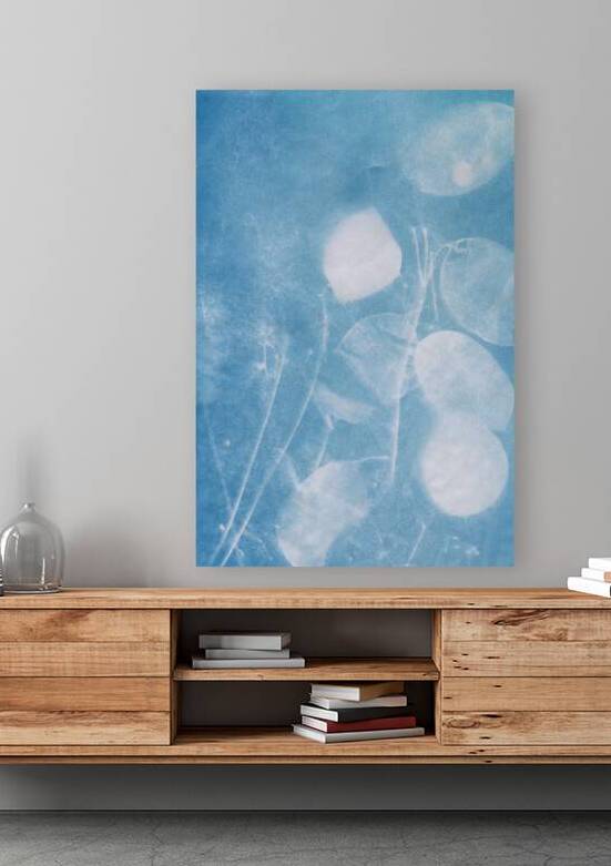 Lunaria honesty by Karen Kaspar