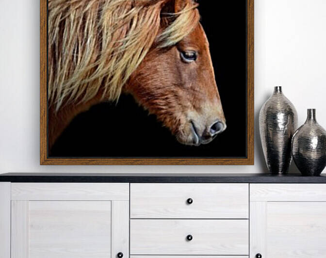 Assateague Pony Sarahs Sweet Tea On Black by Bill Swartwout Photography