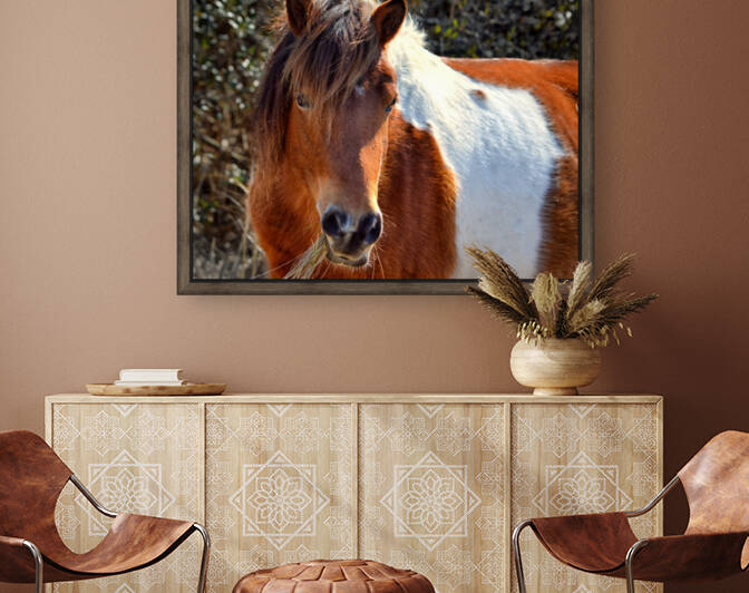 Assateague Pony Ms Macky by Bill Swartwout Photography