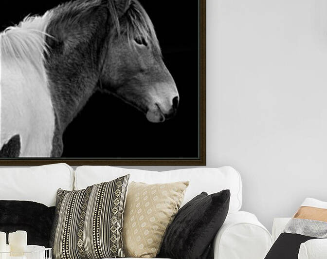 Assateague Pony Susi Sole Black And White Portrait by Bill Swartwout Photography