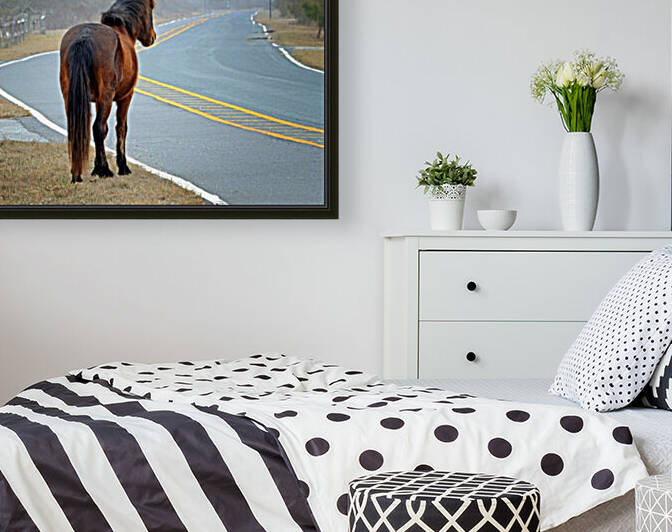 Delegates Pride Awaiting Assateague Island Tourists by Bill Swartwout Photography