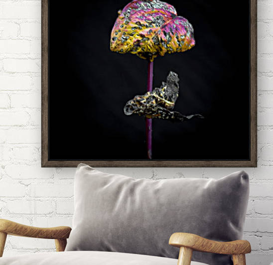 Nature Morte 3 by Michel W Boyer