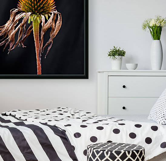 Nature Morte 4 by Michel W Boyer