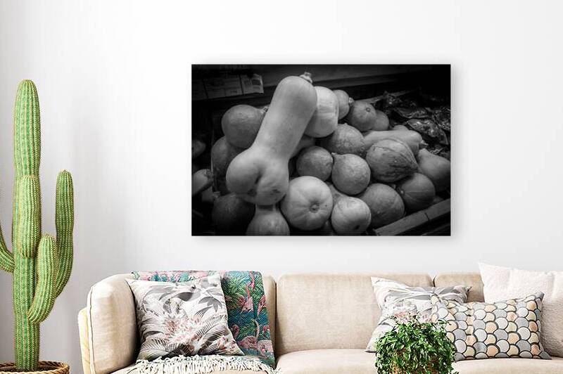 Cucurbitaces   by Emane