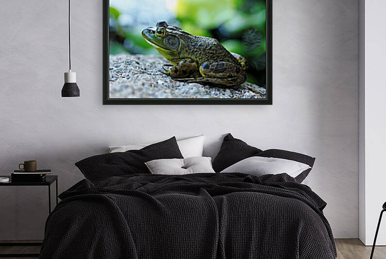 Bullfrog by Deb Oppermann