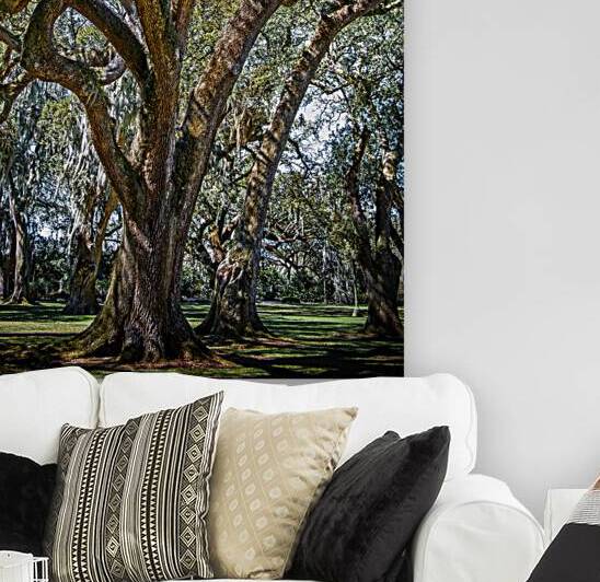 Live Oaks Louisiana Plantation 1 by MichaelBarley