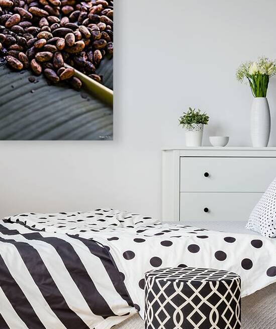 CACAO BEANS by Morgane Charlier Photography