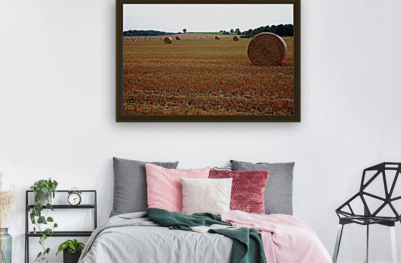 Rolled Gold by Deb Oppermann