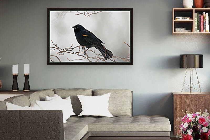 First Sign Of Spring by Deb Oppermann