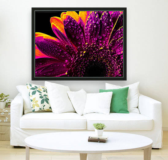 Flash Froozen in Time by Verinder Grewal Photography