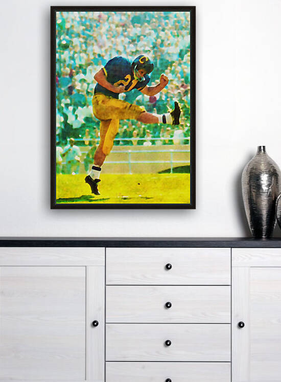 California Bears Watercolor Football Punter by Row One Brand