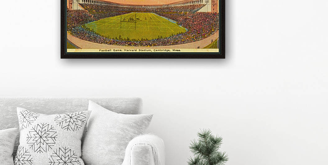 1919 Harvard by Row One Brand